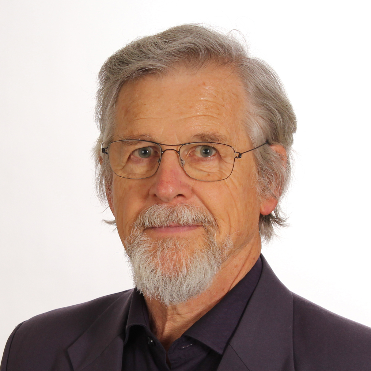 Professor Robert Phillipson