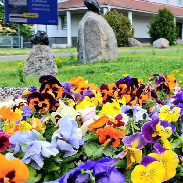 The Integration Foundation is expanding opportunities to practice Estonian in Maardu