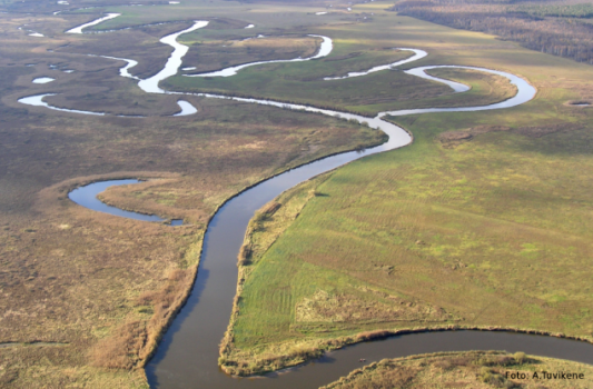 🌿 Tartu – Spring River Path Hike at Emajõe